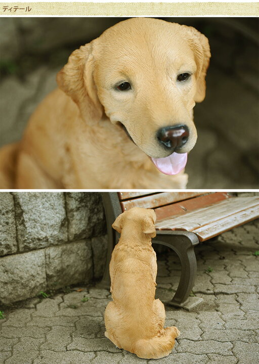 楽天市場】犬 置物 本物そっくり ゴールデンレトリバー ちょーだい 