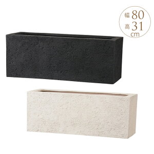 GgXv^[@`@80×31cm  傫 lp v^[ ^ Aؔ Vv  oRj[ x_ mg[ yz