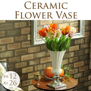 BM̃t[x[X M zCg k ԕr F   킢 Ԋ v^[|bg [sA m  CeA GKg D bsO bsO Mt