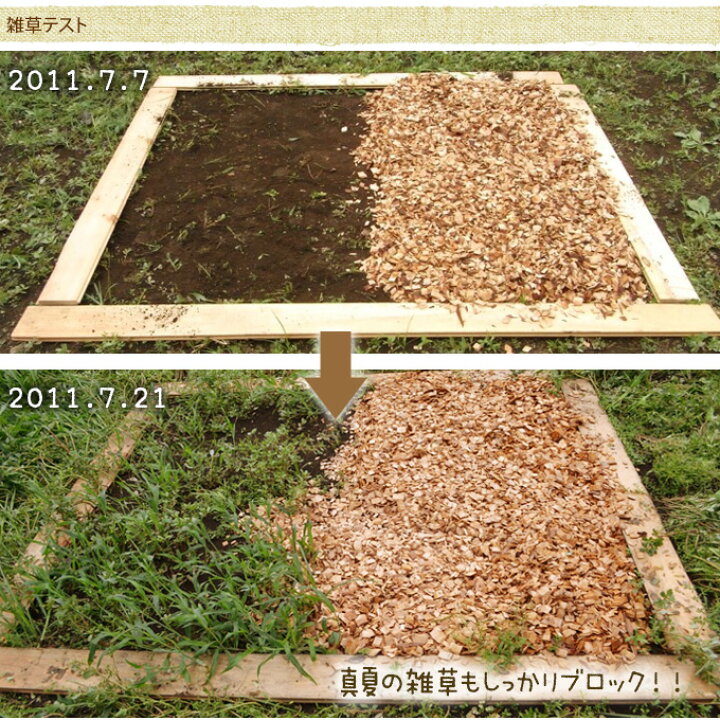 楽天市場 ウッドチップ 国産 ヒノキ 50リットル 2袋セット 木屑 ガーデニング グランドカバー 日本製 安心 駐車場 雑草 予防 対策 乾燥 防ぐ ドッグラン お庭 木くず 送料無料 ガーデン用品屋さん