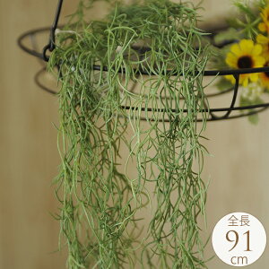 tFCNO[ XpjbVXnK[  CeA  fBXvC tA   G A[gt[ t[AWg    q t ItBX 