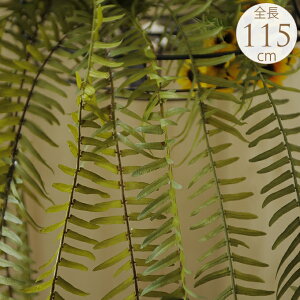 tFCNO[ nMO Ǌ| Ot@[oC 115cm  CeA  fBXvC      ltsX cf[ A lH ϗtA q t I