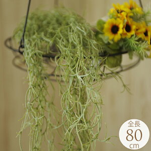 tFCNO[ nMO Ǌ| XpjbVX nMO 80cm  CeA  fBXvC     rO  A t[AWg lH ϗt