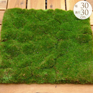 X }bg  O[}bg ΂̑ R̉o X}bg 30×30cm tFCNO[   x_ pl O oRj[ JtF CeA lHϗtA   EH[ i`