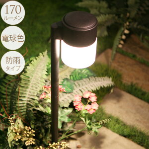 l̃K[fCg ~^Cv@1{ O Cg led  Ɩ ZT[  RZg^Cv   ʘH Av[` 邭 Ƃ炷   ƒ K[fjO ߍ y