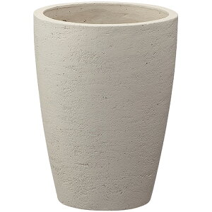 v^[ ^  傫^ a25cm  傫 eRb^ v^[ ^ Aؔ Vv  傫 GgX x_ oRj[ 񂹐A yz