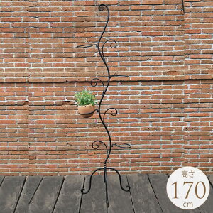 nMOX^h ACA V܂œ͂ ̐ 170cm ԑ X^h v^[X^h AeB[N ACA u v^[`FA O   K[fbN v^[b