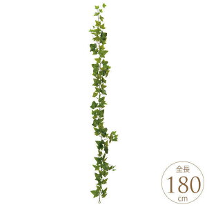 tFCNO[ nMO Ǌ| ACr[ K[h 180cm  CeA  fBXvC      rO  A t[AWg lH ϗtA