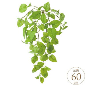  A  C|gXubV CgO[ tFCNO[ CeA   Ή ϗtA tFCN |gX A CeAO[ ChAO[ O[C