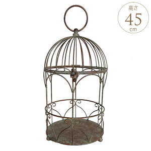 K[fG NN o[hP[W 45cm AeB[N    GAvc nMO v^[ K[fjO yz