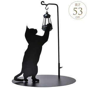 y VGbg \[[Cg Lbg K[fCg O \[[ LED Cg   킢 yz