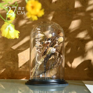 fBXvC |J[{l[g h[^t 27cm ɂ   h[ NA RNVP[X KXh[ GAvc eE RNVh[ hCt