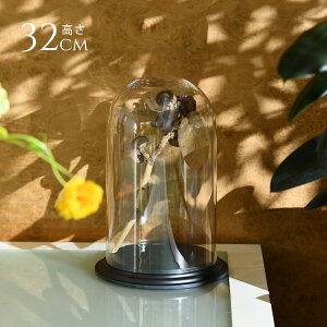 fBXvC |J[{l[g h[^t 32cm ɂ   h[ NA RNVP[X KXh[ GAvc eE RNVh[ hCt