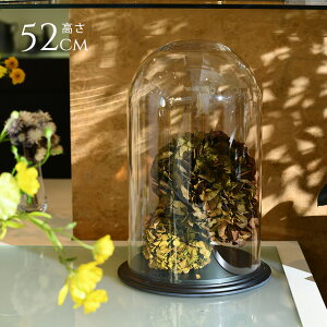 fBXvC |J[{l[g h[^t 52cm ɂ   h[ NA RNVP[X KXh[ GAvc eE RNVh[ hCt