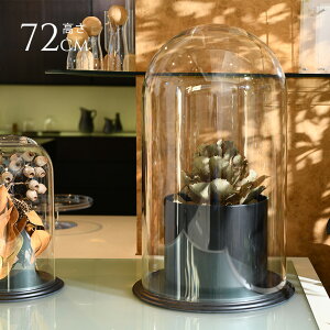 fBXvC |J[{l[g h[^t 72cm ɂ   h[ NA RNVP[X KXh[ GAvc eE RNVh[ hCt