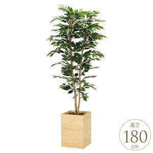 tFCNO[ A ^ Ebh{bNX xW~ 1.8m lH ϗtA A G} CeA O[   rO ItBX Ɩp ItBX   ҍ y