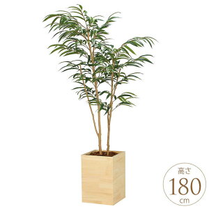 tFCNO[ A ^ Ebh{bNX VEiS 1.8m lH ϗtA A G} CeA O[   rO ItBX Ɩp ItBX   ҍ 