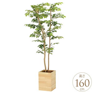 tFCNO[ A ^ Ebh{bNX }EeAbV 1.6m lH ϗtA A G} CeA O[   rO ItBX Ɩp ItBX   