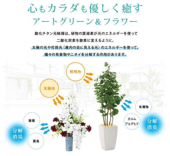 楽天市場】フェイクグリーン 鉢植え 大型 ウッドボックス マウンテン 