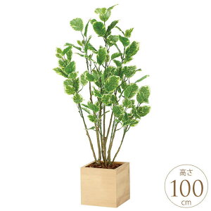 tFCNO[ A ^ Ebh{bNX |VX 1m lH ϗtA A G} CeA O[   rO ItBX Ɩp ItBX   ҍ y