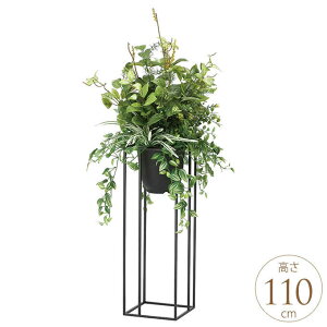 tFCNO[ ACAX^h ~bNX 1.1m lHϗt  A G} C zAfqh CeAO[ ^ ItBX@{ ȒP  y