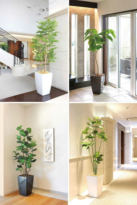 楽天市場】フェイクグリーン 鉢植え 大型 観葉植物 人工樹木 アーバン 