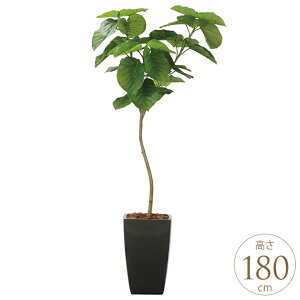 y10OFFztFCNO[ A ^ ϗtA lH A[oX^C tbVEx[^ 1.8m lHϗt  A G} C zAfqh CeAO[ 