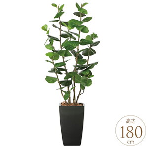 tFCNO[ A ^ ϗtA lH A[oX^C V[O[v 1.8m lHϗt  A G} C zAfqh CeAO[ ^ ItBX@{