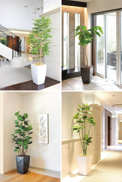 楽天市場】フェイクグリーン 鉢植え 大型 観葉植物 人工樹木 アーバン 
