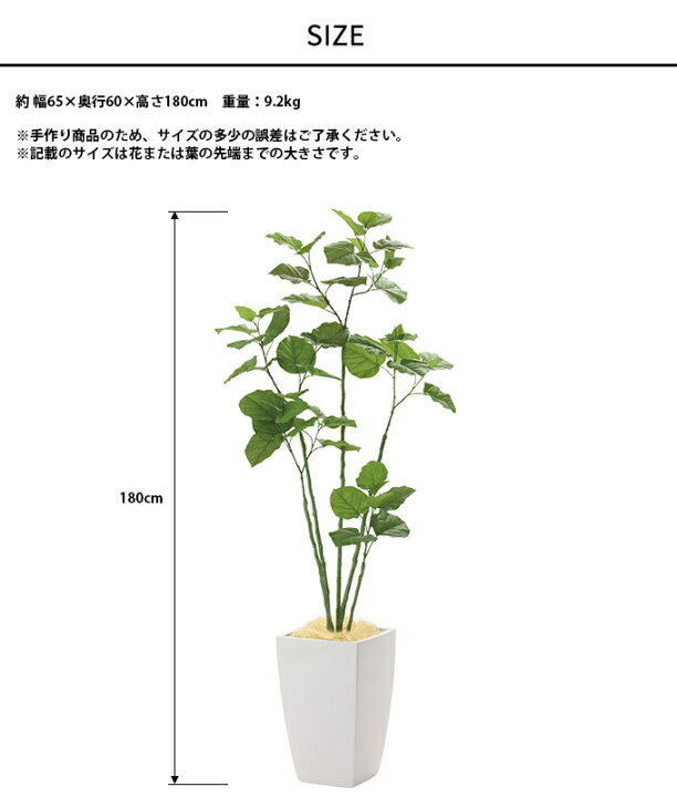フェイクグリーン 鉢植え 大型 ウッドボックス ウンベラータ 1.8m 人工 