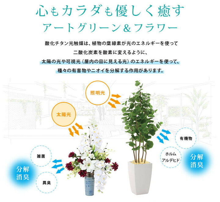 楽天市場】【期間限定価格】 フェイクグリーン 鉢植え 大型 観葉植物  