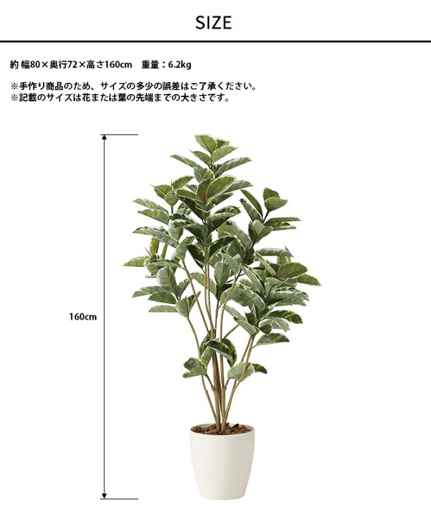 光触媒 人工観葉植物 ウォールグリーン フェイクグリーン アルテシマ 