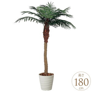 y10OFFztFCNO[ A ^ ϗtA lH tA^Cv tFjbNX 1.8m lHϗt  A G} C zAfqh CeAO[ ^ ItBX@