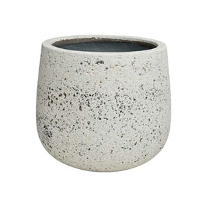 v^[ ^  傫 O  AXeBEh a29cm v^[|bg Aؔ i` Jo[ RN[g Zg y v ϗtA 򍪐A T{e A 