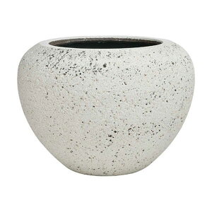 v^[ ^  傫 O  AXeB{E a53cm v^[|bg 唫 Aؔ i` Jo[ y v oRj[ ϗtA 򍪐A T{e A   