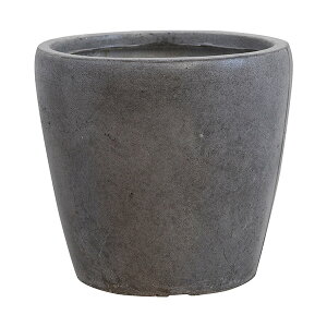 v^[ ^  傫 t@gEh@a42cm v^[|bg Aؔ Ɩp Ԓd y Vv  eX oRj[ RN[g Zg ϗtA 򍪐A T{e