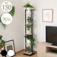 ディスプレイスタンド スリム 高さ150cm オープンラック ガーデンラック フラワーラック プランターラッ…