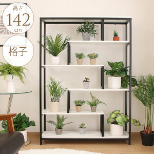 fBXvCVFt iq 142cm I[vbN K[fbN fUCbN v^[bN I VFt ǖʎ[ mg[ iq^ CeAO[ ϗtA@I[i