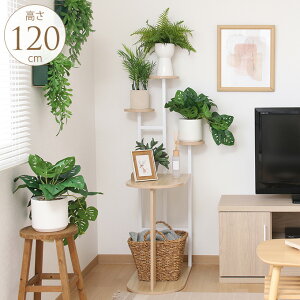 ディスプレイラック 幅64×奥行50×高さ120cm フラワースタンド 花台 ガーデンラック デザインラック マルチシェルフ 飾り棚 シェルフ 組立簡単 モノトーン 鉢置台 インテリアグリーン 観葉植