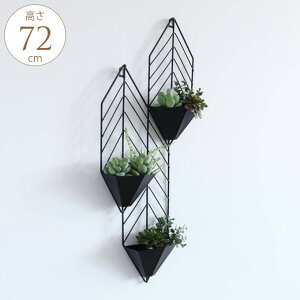 EH[fR[V [t^ ACA t[x[X v^[ AeB[N Ǌ|  EB[fR nMO ǖʑ CeA  IuWF I[ig  k 