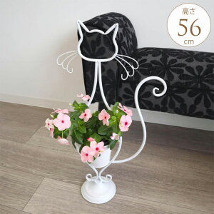 v^[  AeB[N v^[X^h VGbgLbg zCg ACA ԑ t[|bg Jo[ L lR Lbg ꌊȂ CeA IuWF rO 