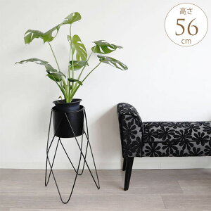 v^[X^h ACAEh ԑ X^h t[X^h AeB[N ACA u v^[`FA O   K[fbN v^[bN v^[ x