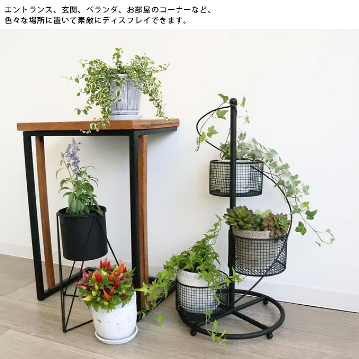 楽天市場】プランタースタンド ワイヤーらせんスタンド 花台 スタンド 