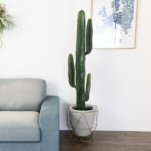 Brown. uE tFCNO[ T{e |bg 147cm ϗtA T{e  A Sʊp O[   傫 ^ CeA fBXvC  A   y