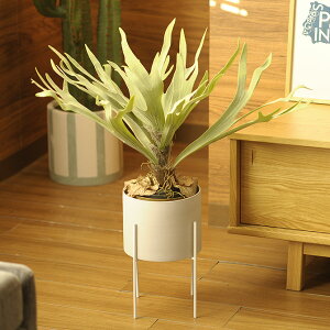 Brown. uE tFCNO[ rJNV_ |bg 58cm ϗtA RE  A O[  fXN  CeA fBXvC  A  