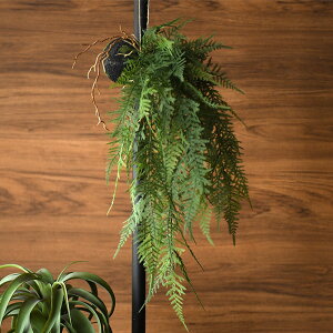 Brown. uE tFCNO[ t@[ nMO{[ 53 ϗtA nMO  A O[ Ǌ|  ǖ CeA fBXvC  A  