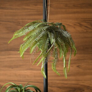 Brown. uE tFCNO[ {Xgt@[ nMO{[ 30 ϗtA ^}V_  cf[ O[ A  nMO CeA Ǌ| ǖ fBXvC  