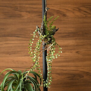 Brown. uE AWg  47 ϗtA A  tFCNO[ O[ ~bNX   CeA nMO fBXvC  Ǌ| ǖ A  