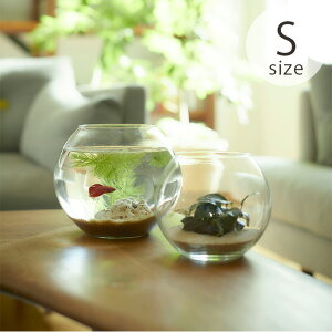 ԕr ۂ KX h[ Horn Please z[ v[Y [YKX h[ v[p S t[x[X  k NA  t[|bg KXx[X   CeA e