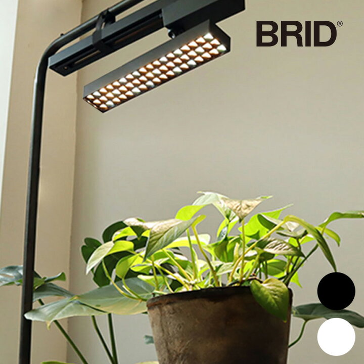 楽天市場】植物育成ライト LED SPOT LIGHT for PLANTS 30W 植物ライト 